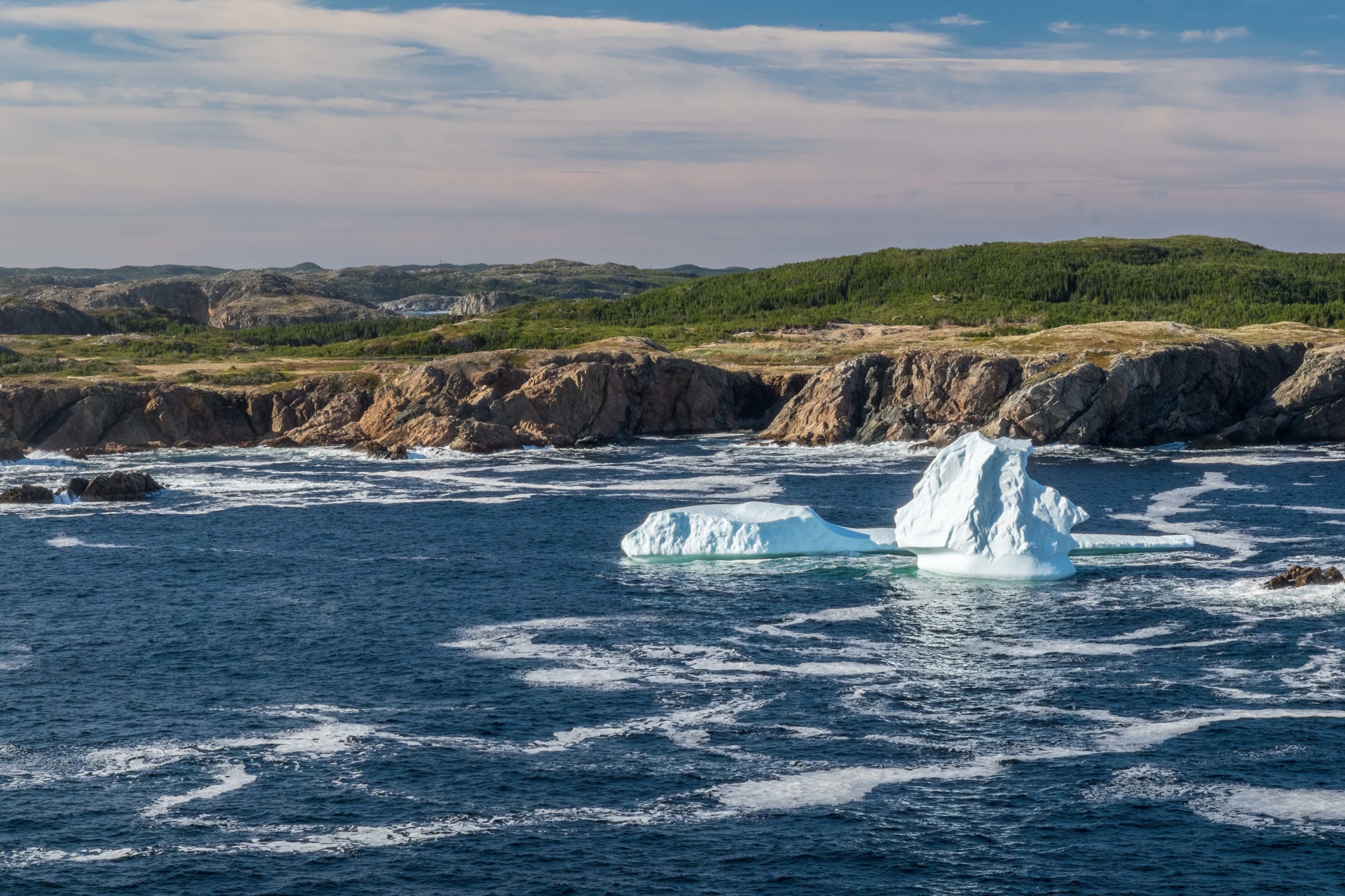 Icebergs settle into a bay near Twillingate, Newfoundland.