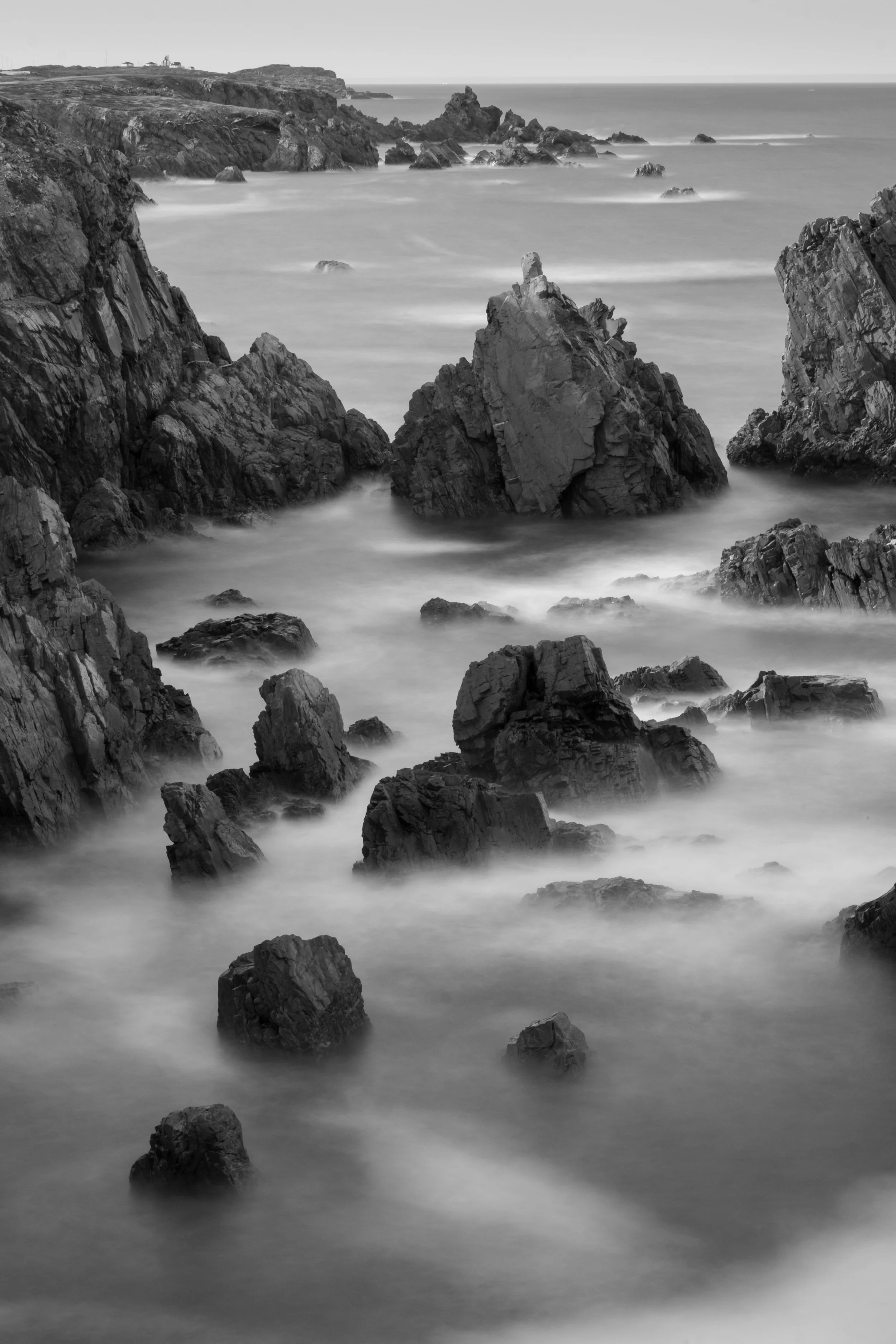 Killer Coast