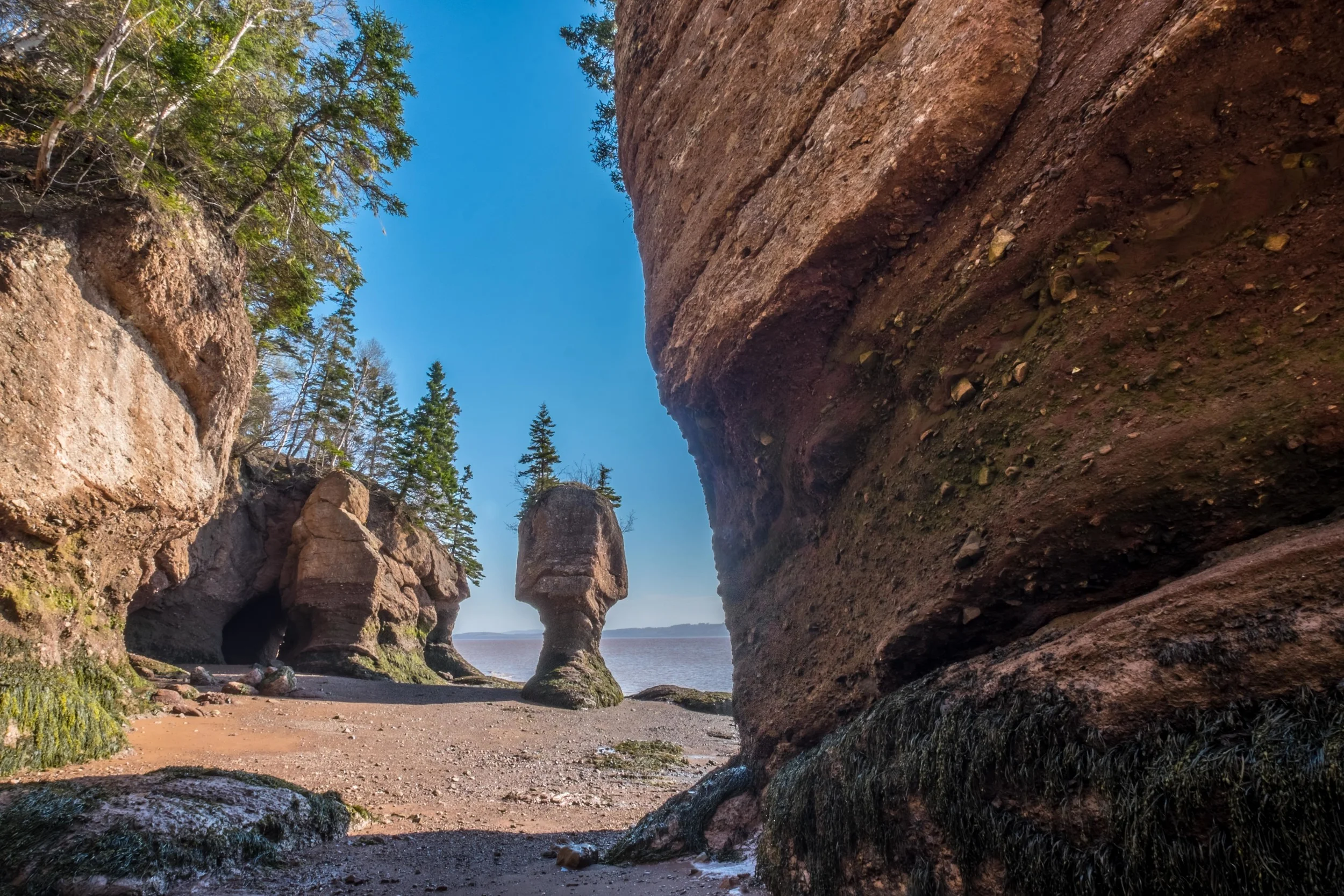 Standing on the ocean floor among 50 foot flower pot rocks and ocean caves