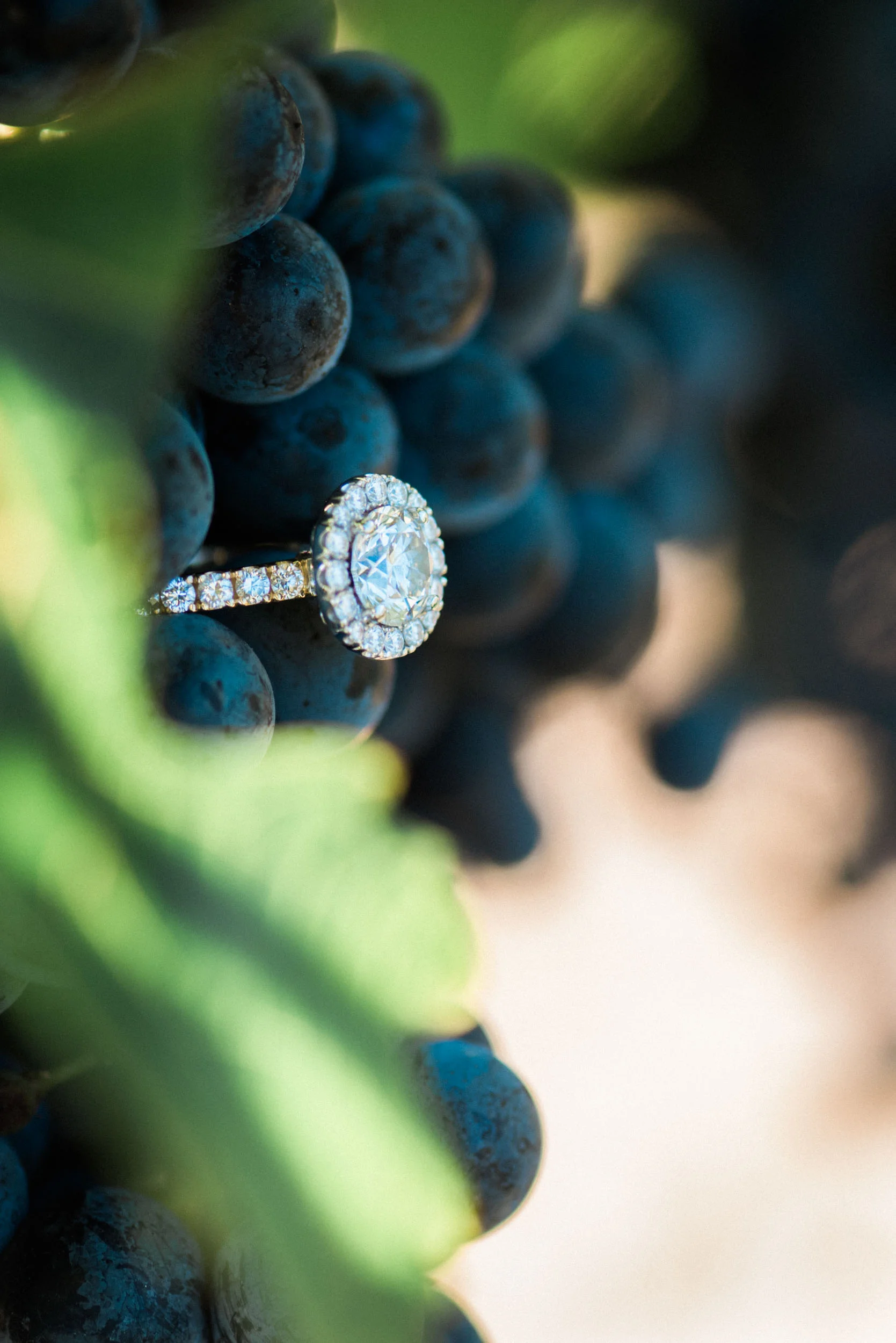 Niagara-on-the-lake-engagement-5.jpg