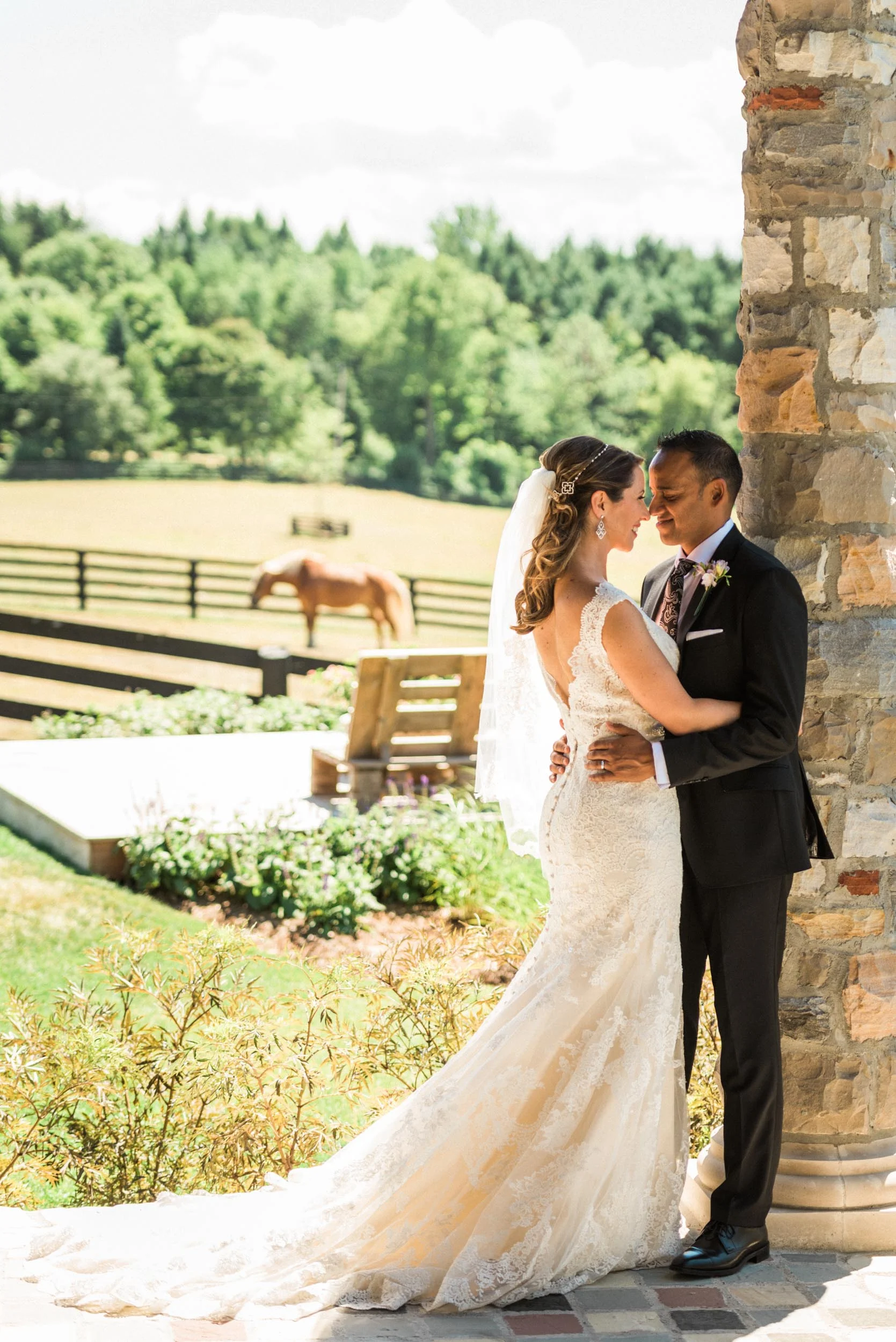 Dog-Tales-Rescue-Sanctuary-Wedding-4.jpg