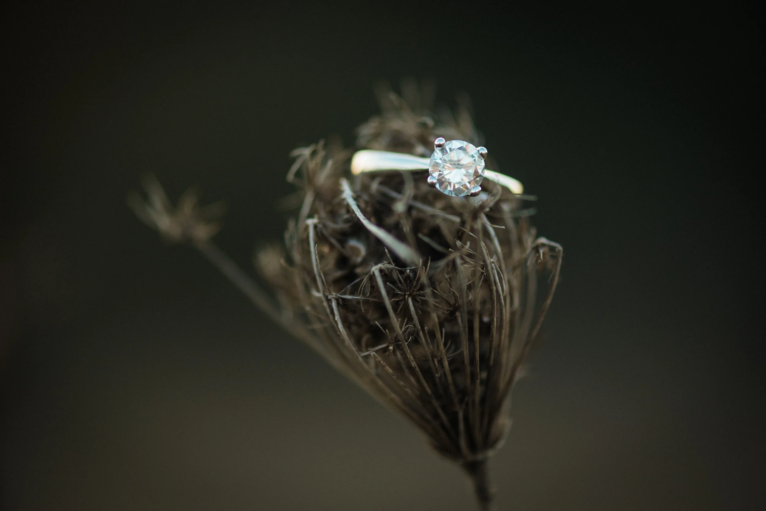 Website Engagement -7407.jpg