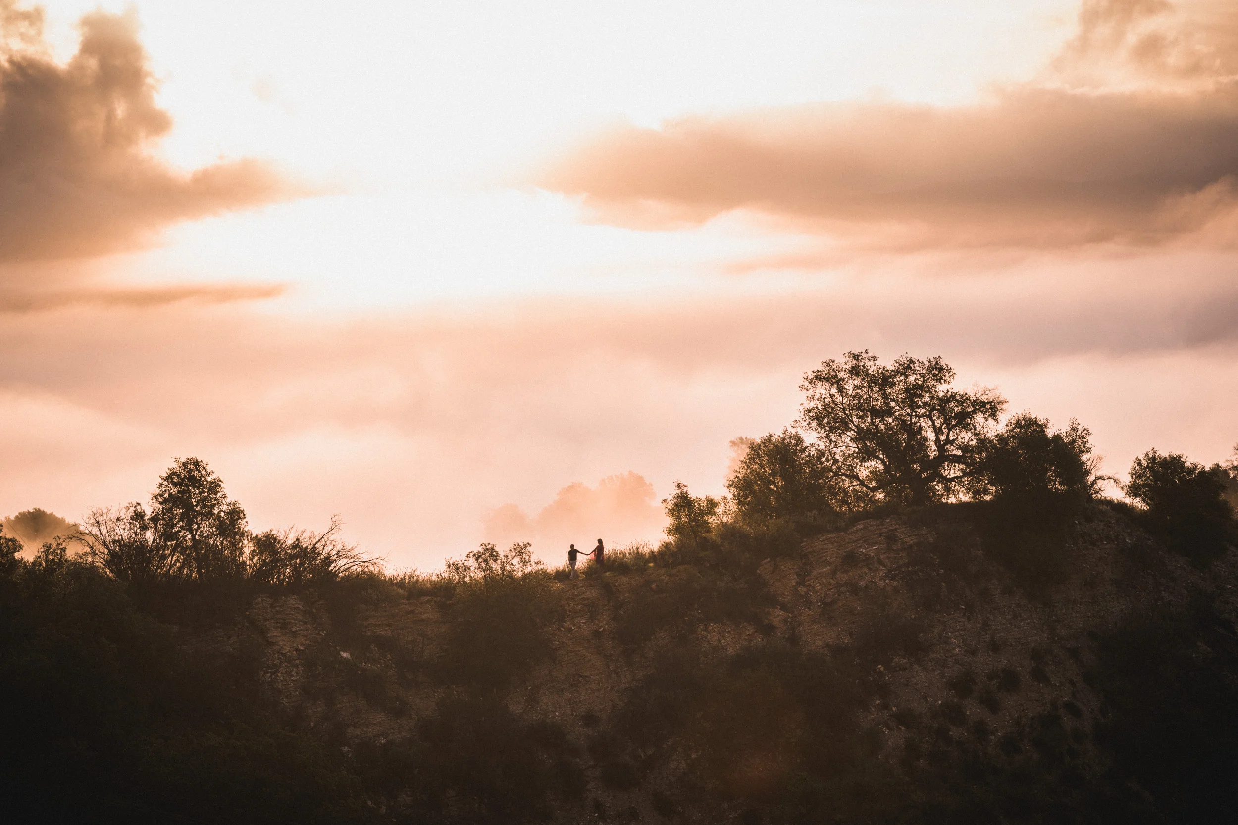 Malibu Wedding Photographer Jeremie Dupont-4.jpg