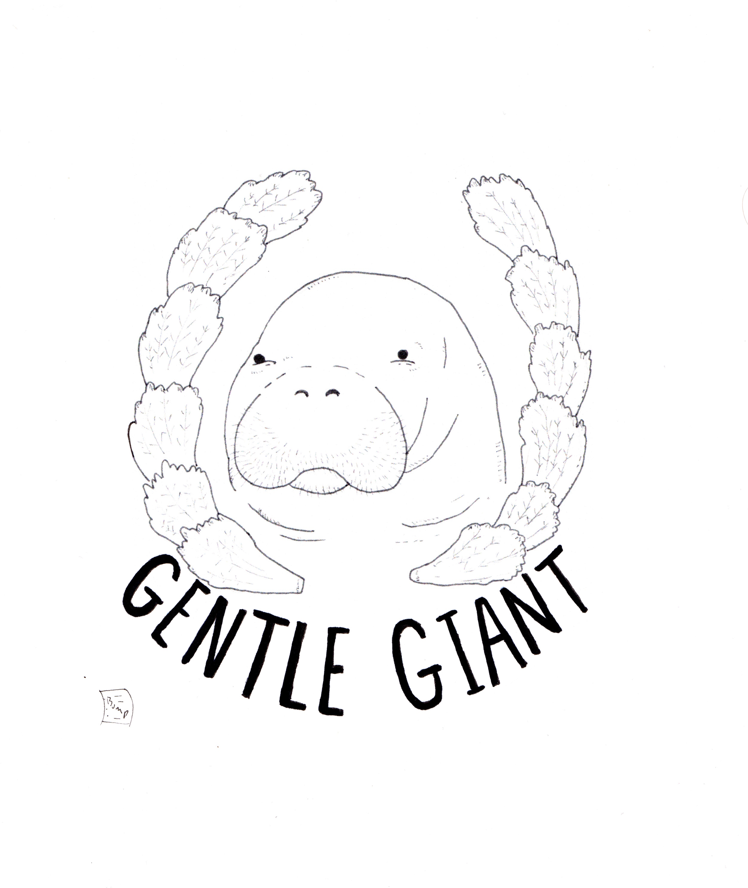 Gentle Giant .jpeg