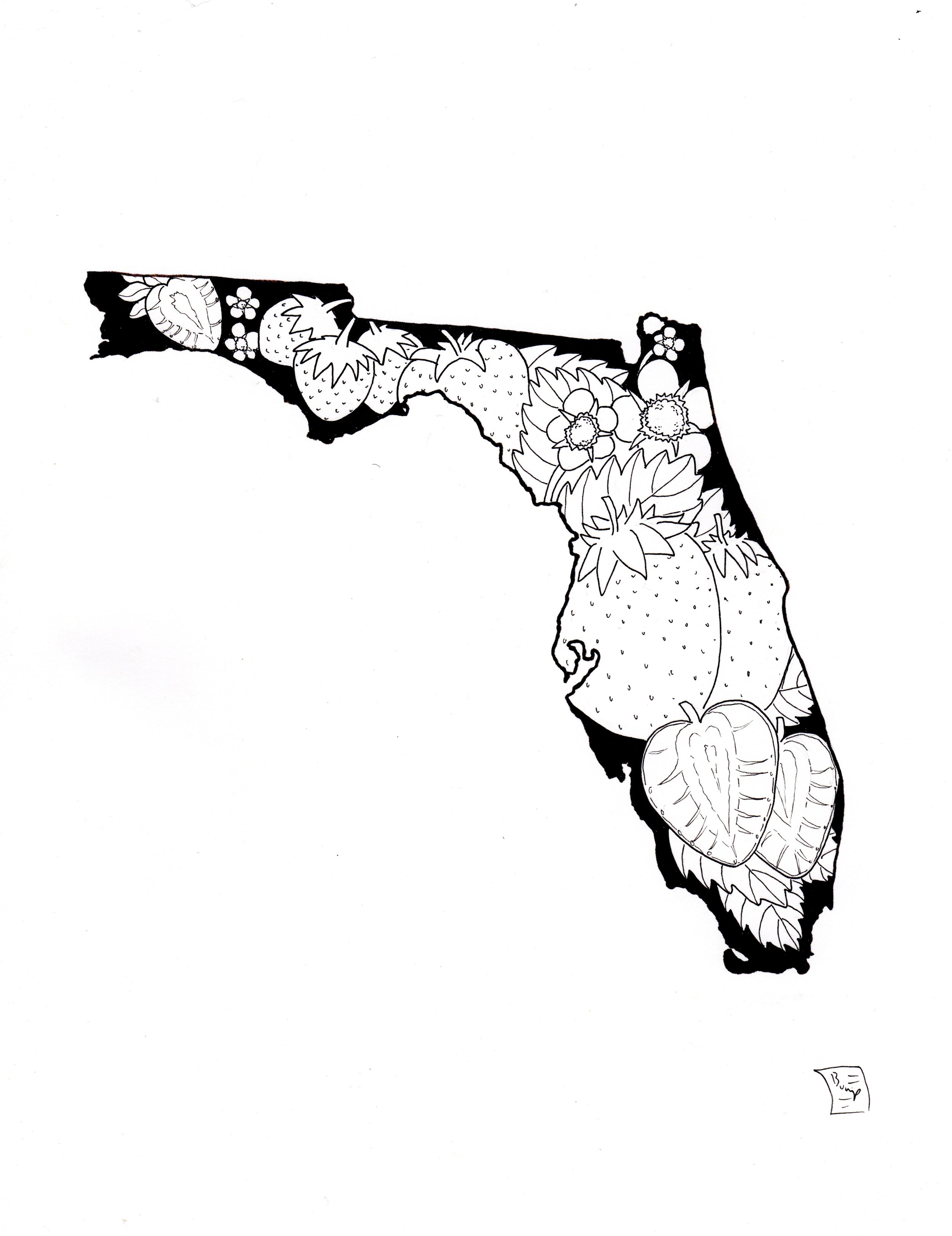 Fla Strawberry.jpeg