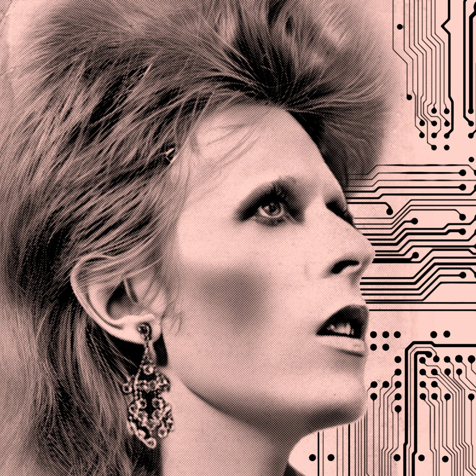 bowie moonage daydream red pink close.jpg