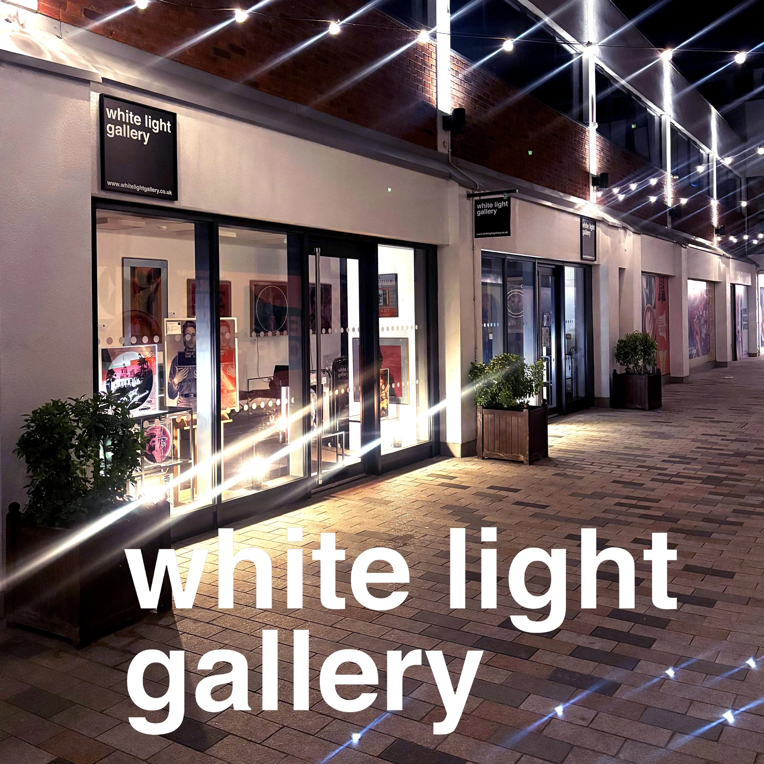 Louis Sidoli artist white light gallery