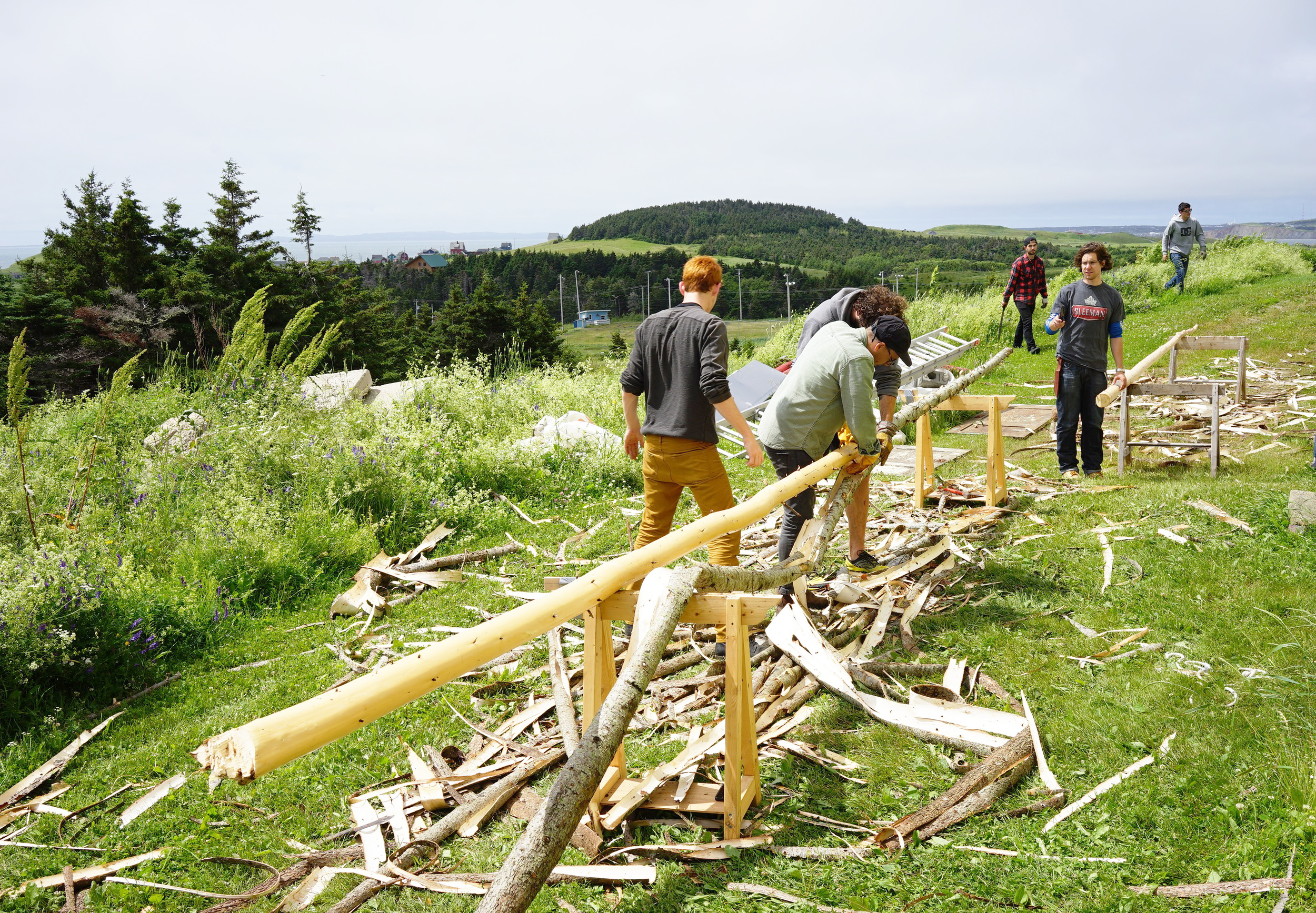 2nd Obstruction3.JPG