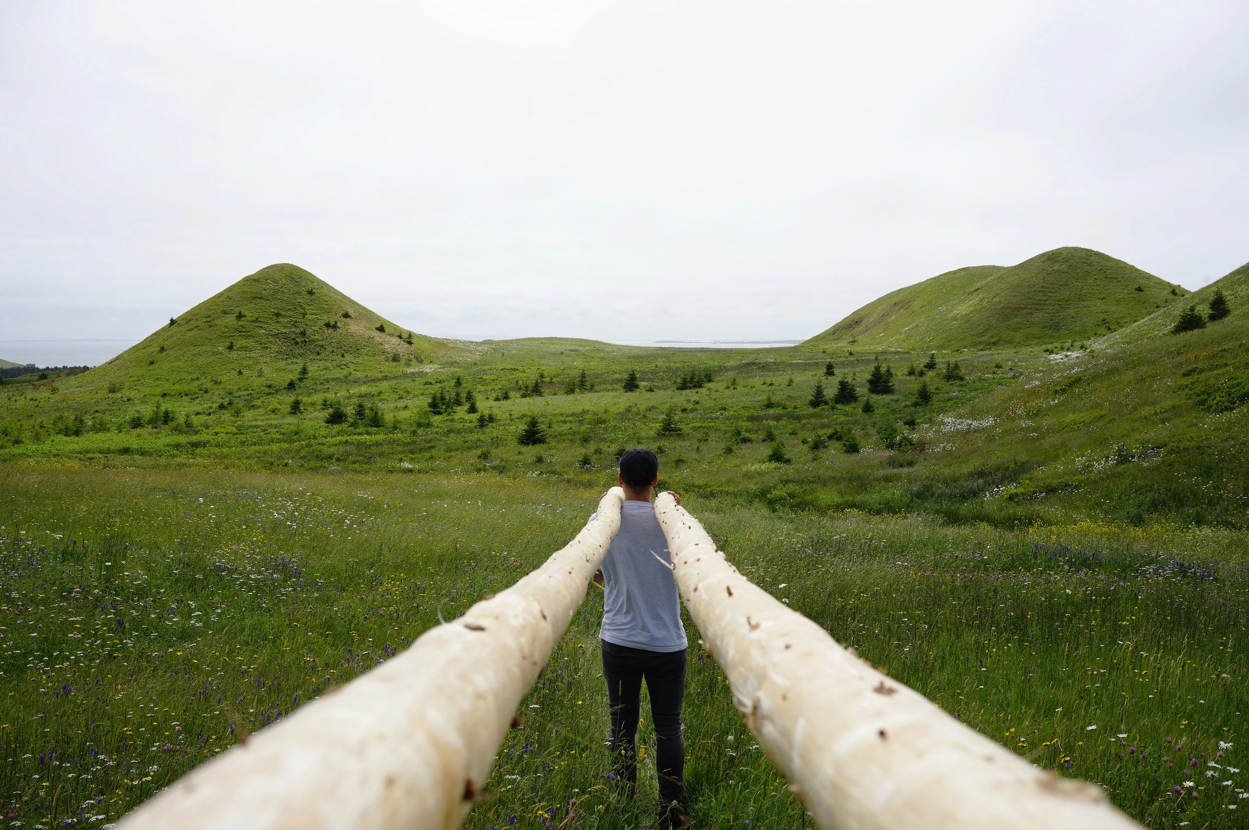 2nd Obstruction4.JPG