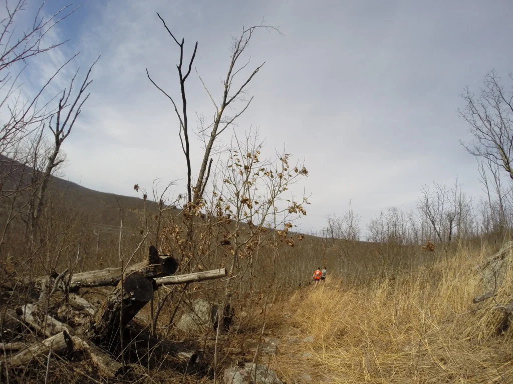 A Down Week and Taum Sauk Mountain