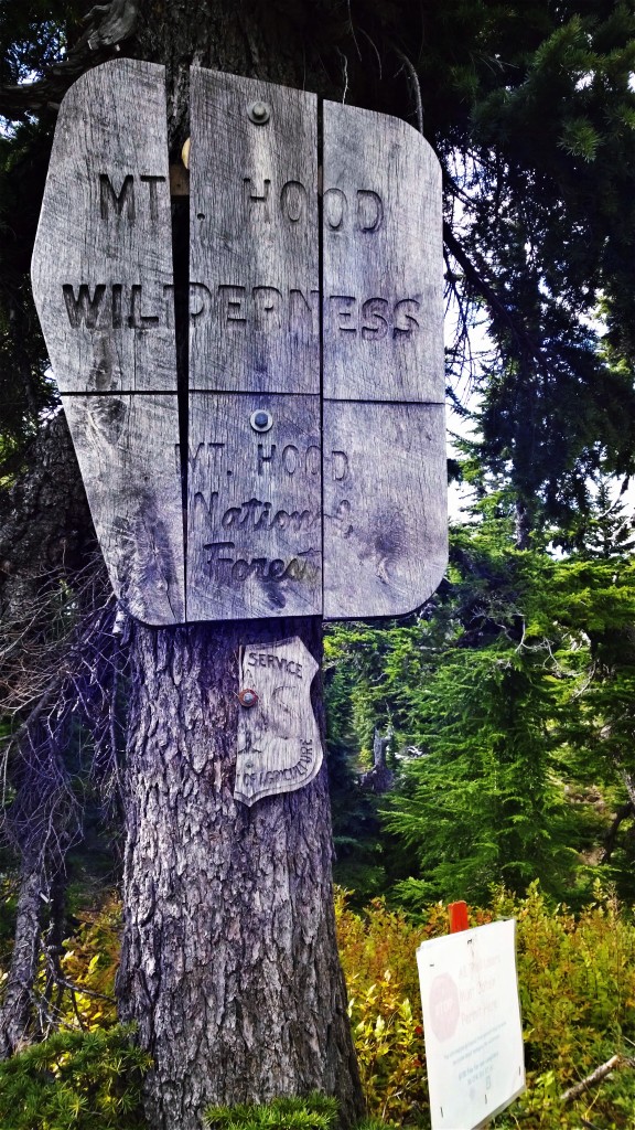 My New Stomping Grounds and Surrounding Areas