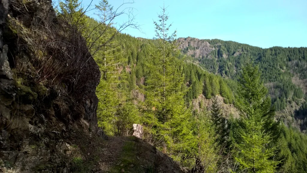 Training Update 2/23 - 3/1