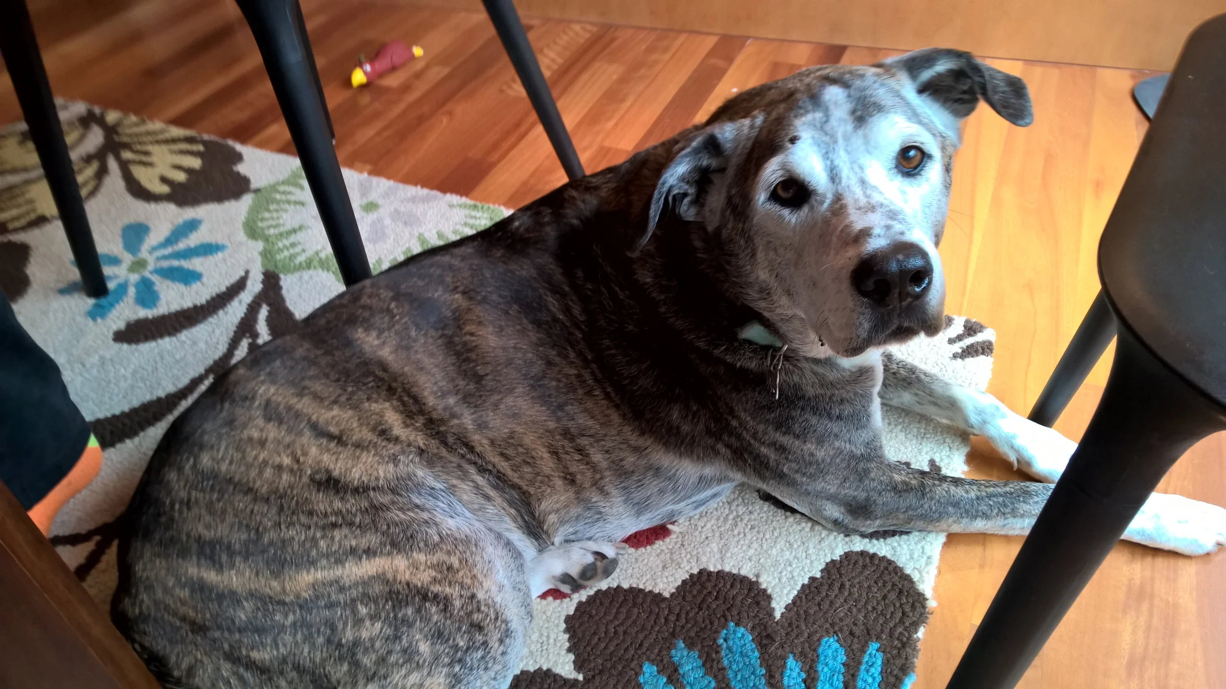 It is a Tumor but not a Bad One