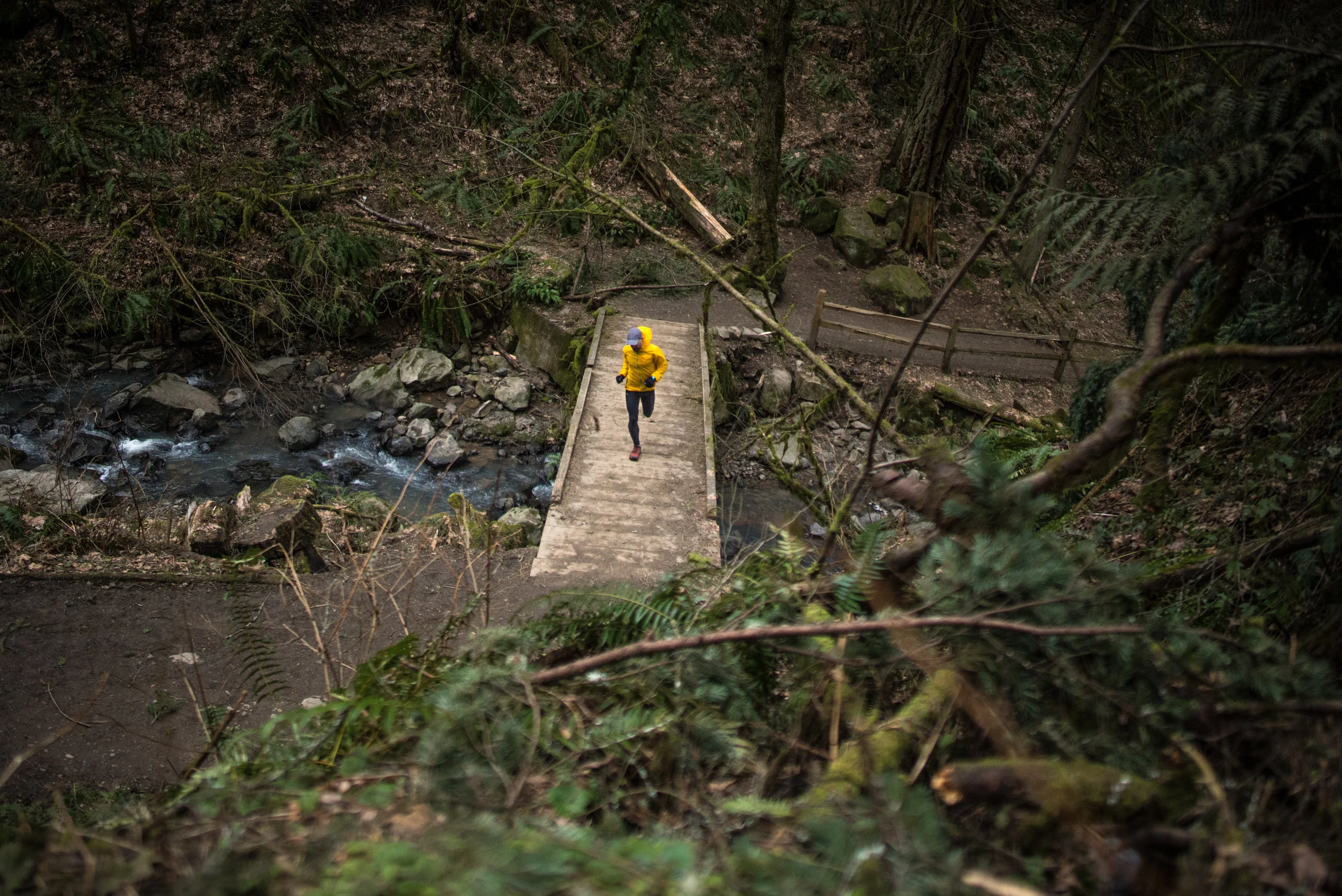Lower MacLeay in Forest Park - photo by: Steven Mortinson