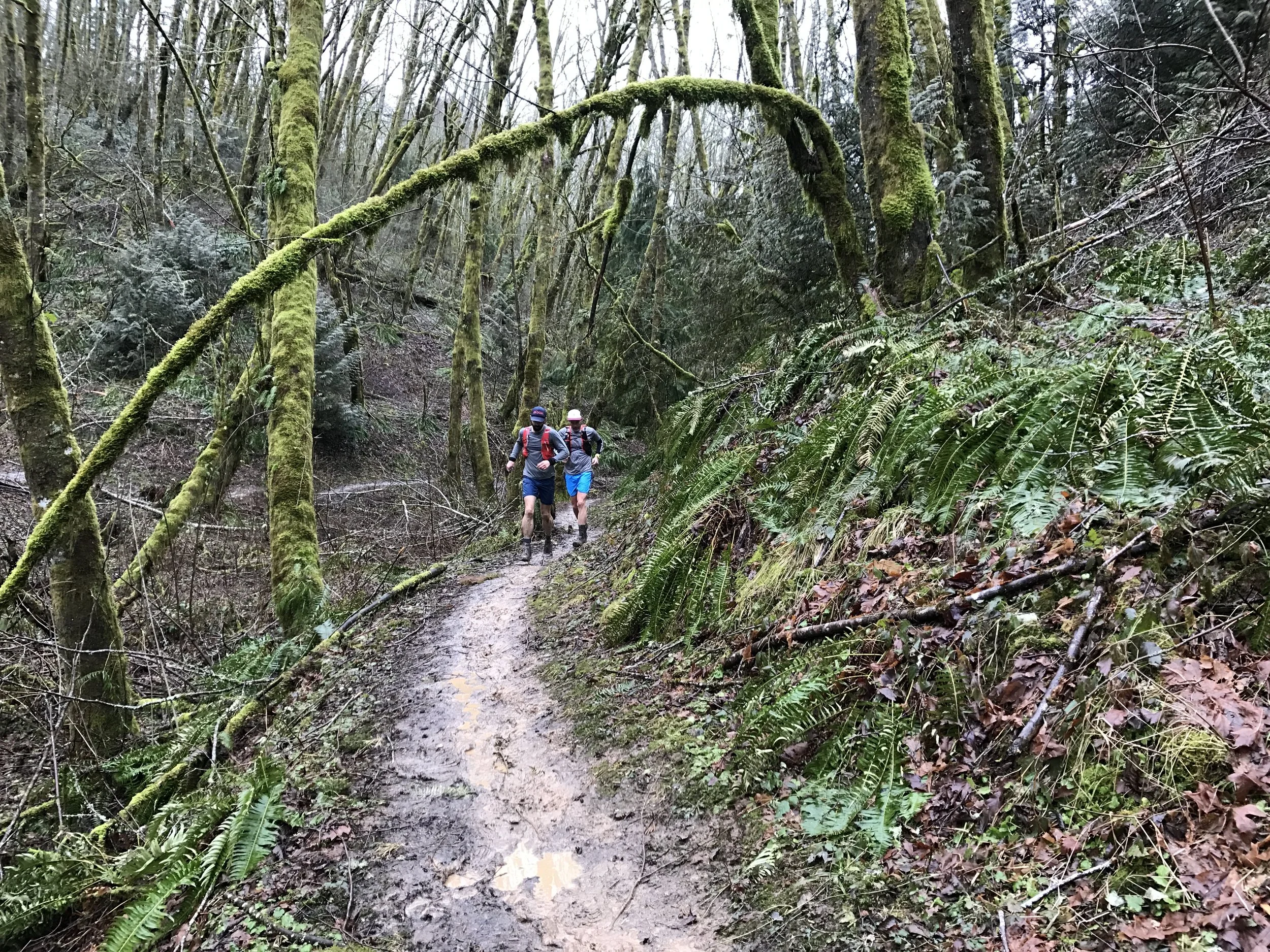 Wildwood End to End - Forest Park - Portland