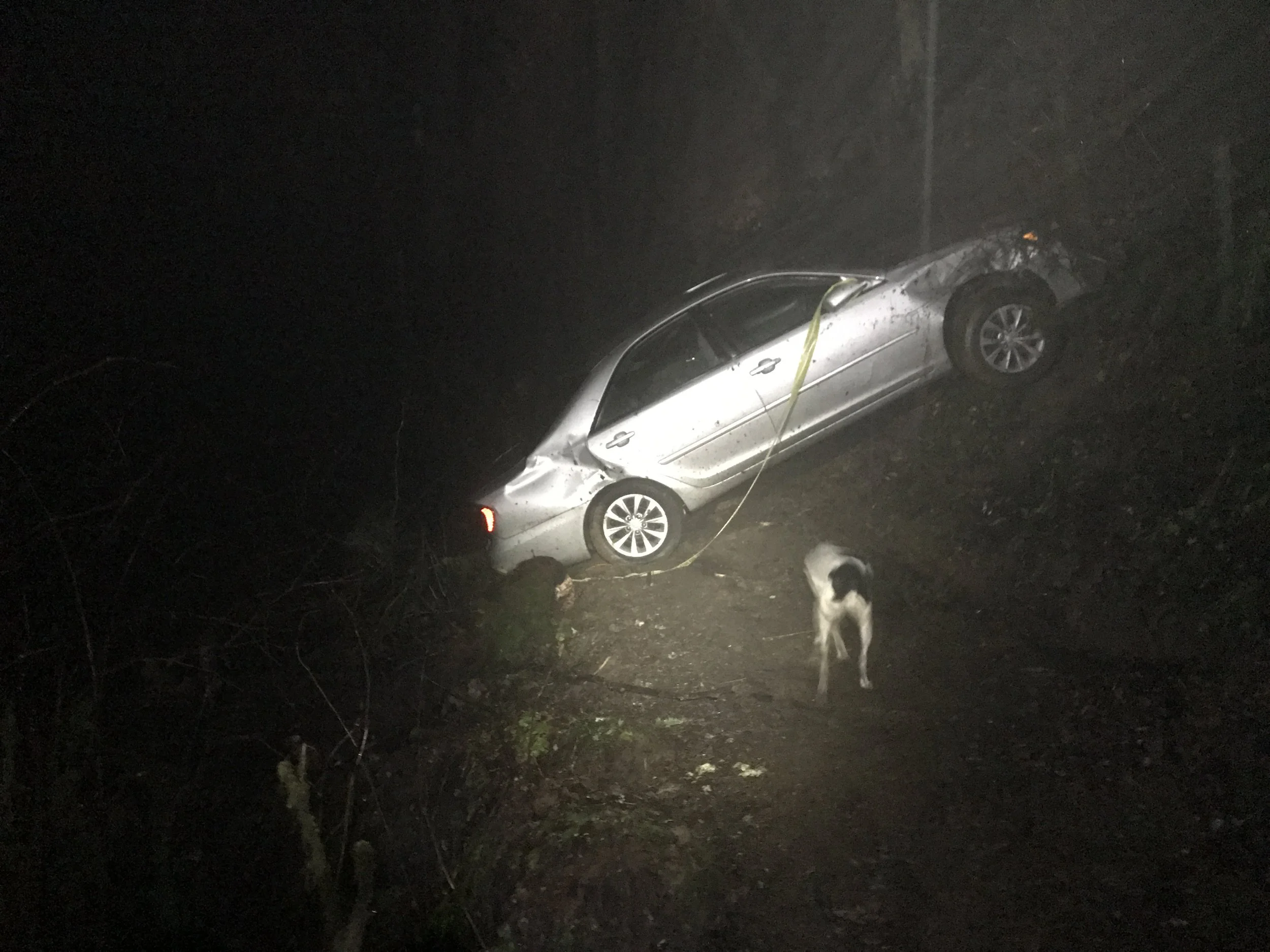 Mud slides and Honda slides too! - Wildwood Trail - Portland