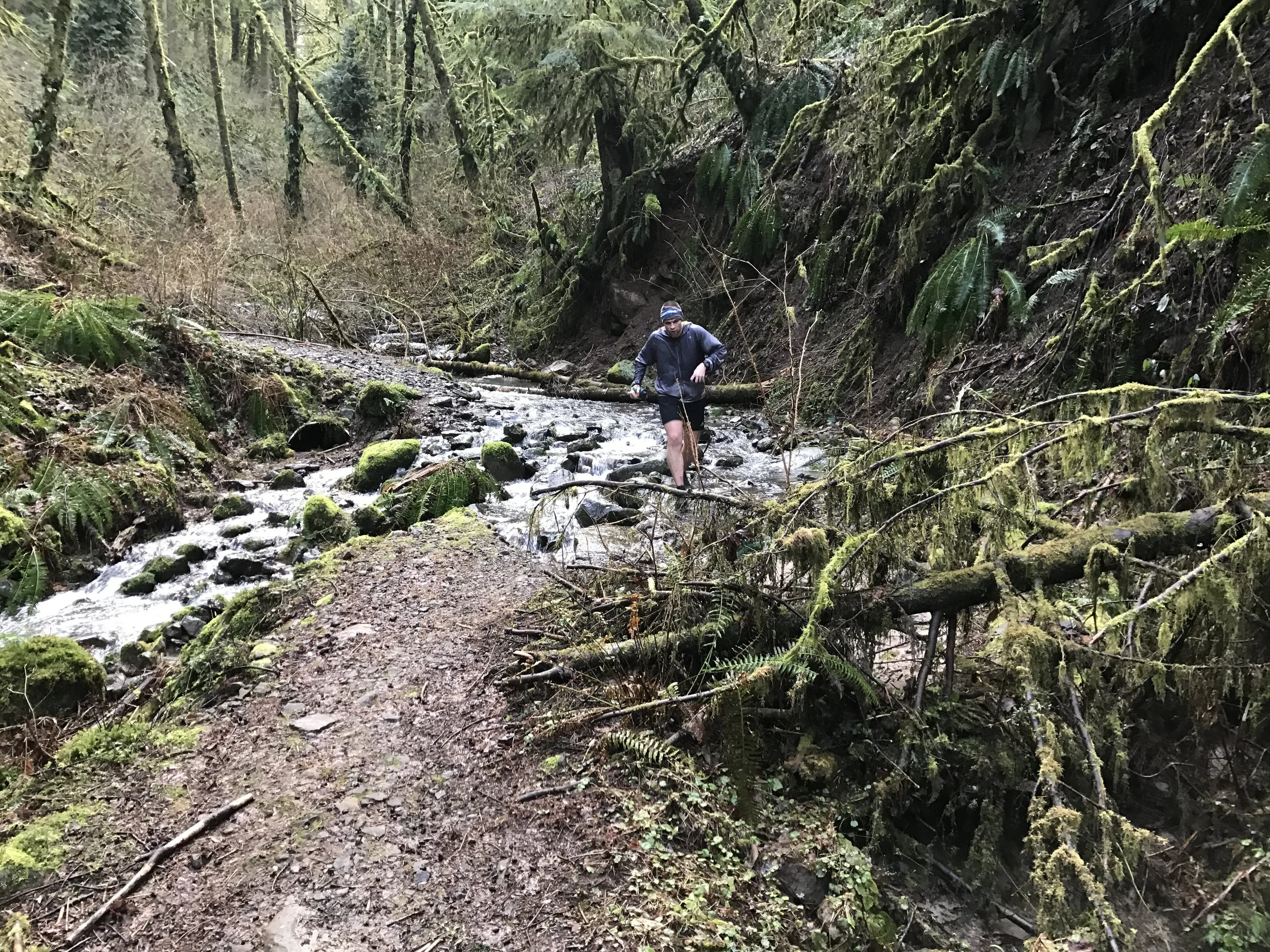 Steven moving over the downed trees - Newton Rd - Portland