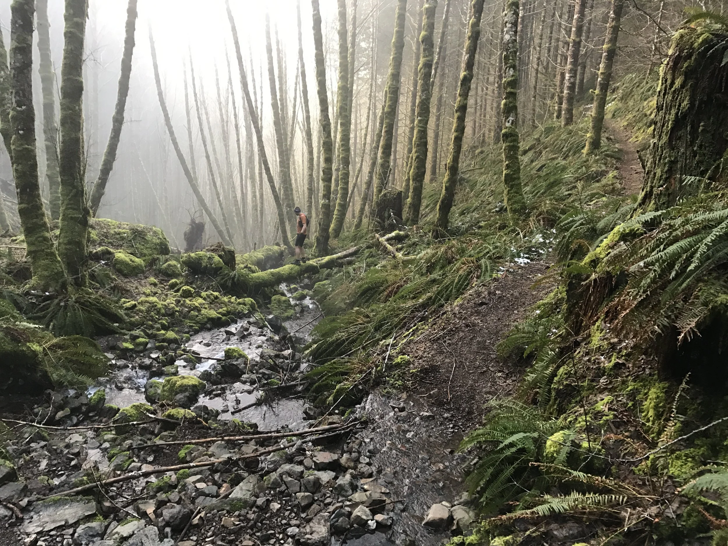 Steven checking out all the green - Wilson River Trail - Tillamook