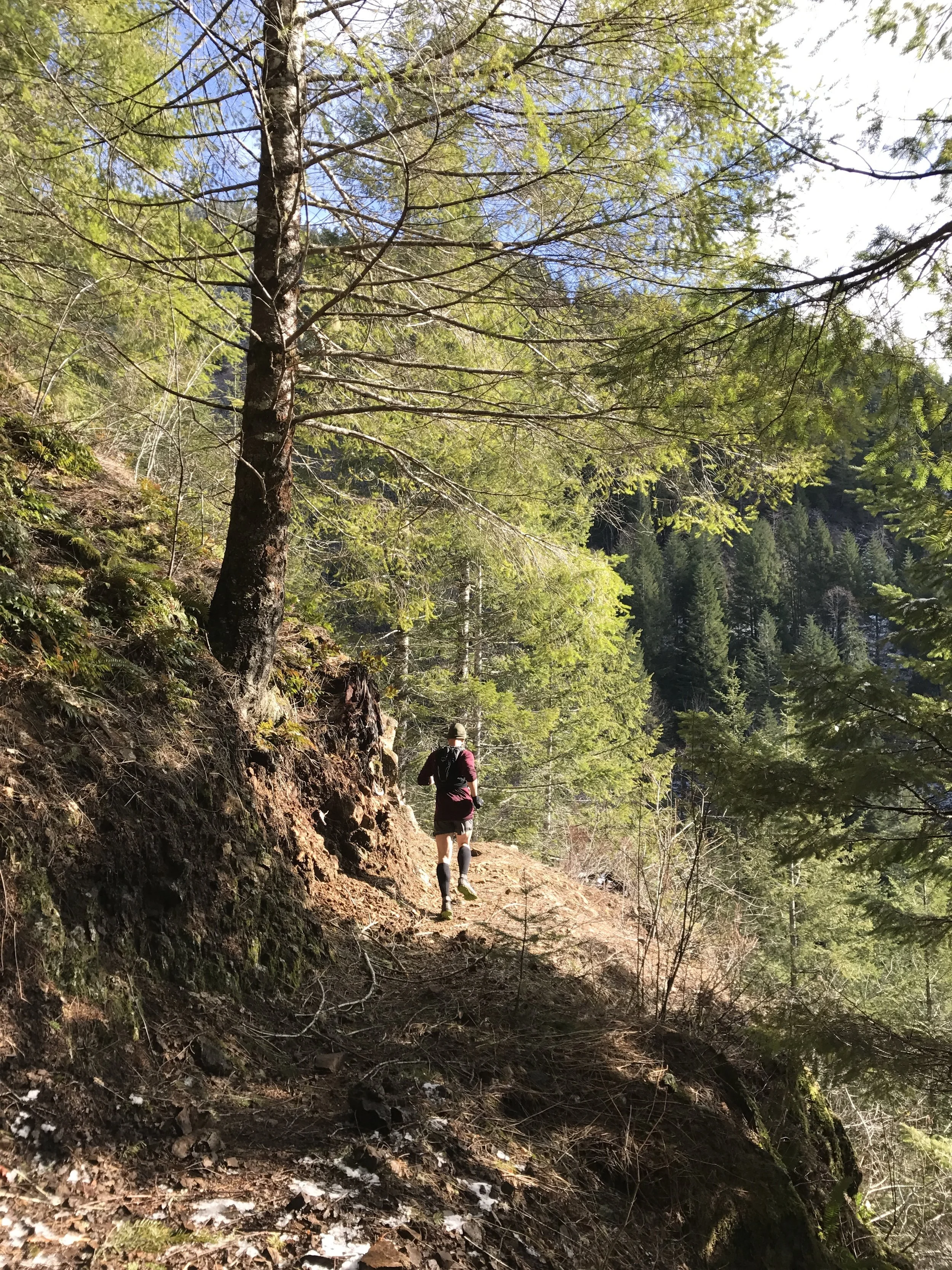 Rounding the corner - Wilson River Trail - Tillamook