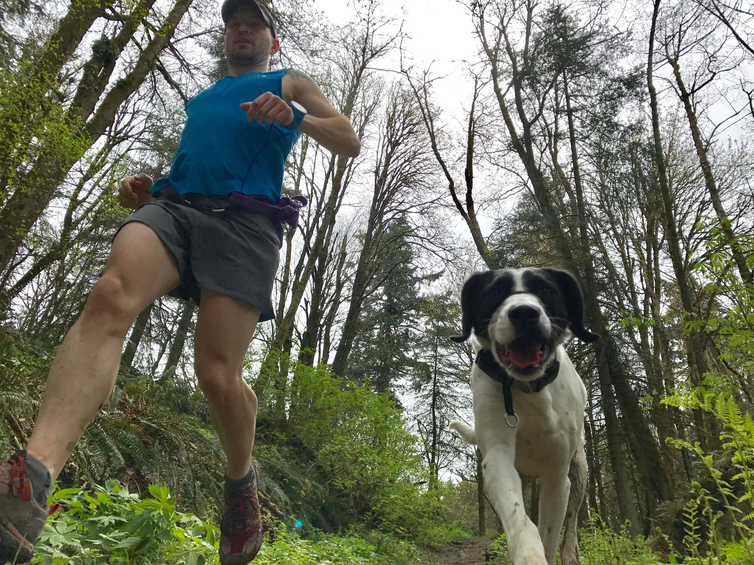 Fire Lane 2 - Forest Park, Portland, OR - Dog jog with my girl Coconut