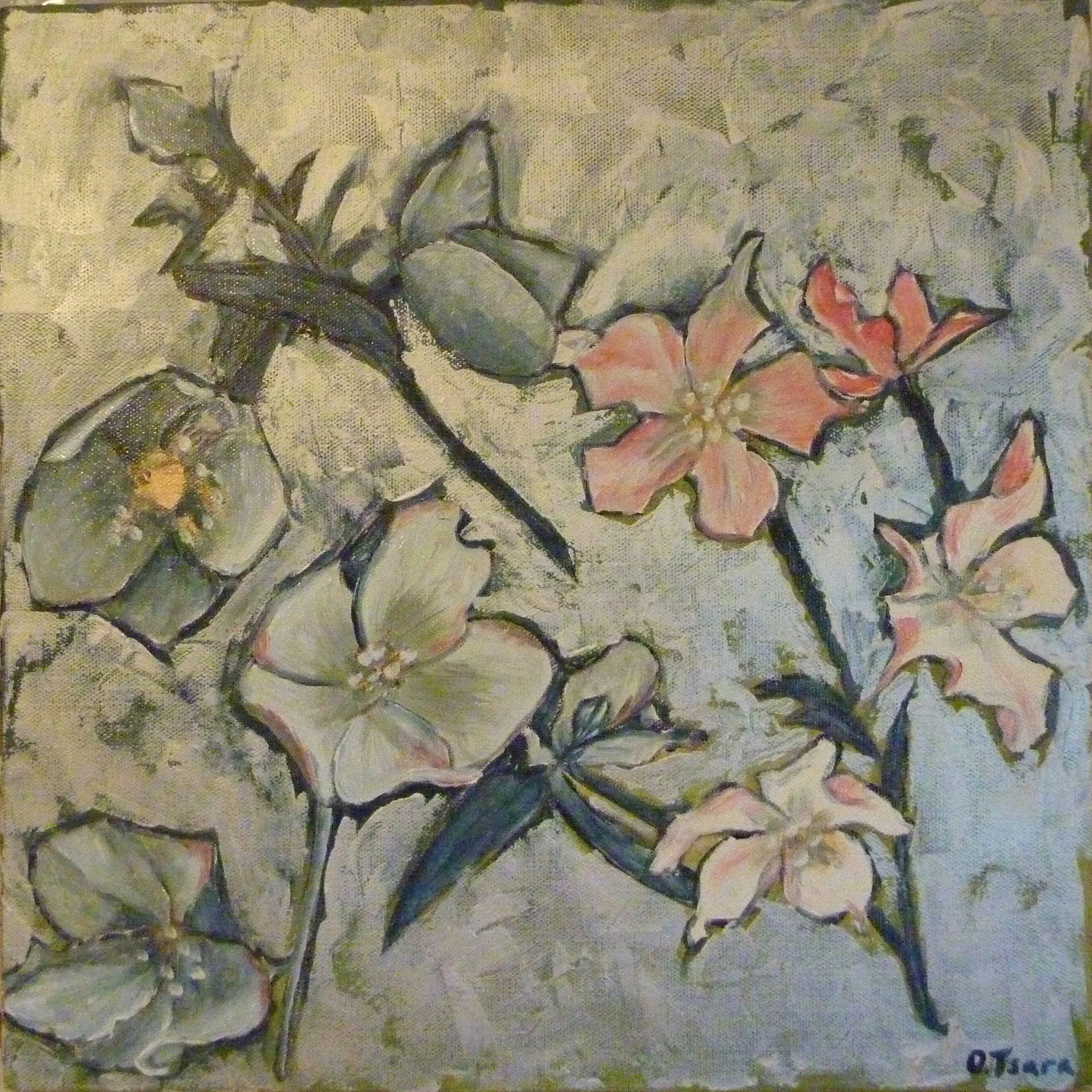 Winter roses