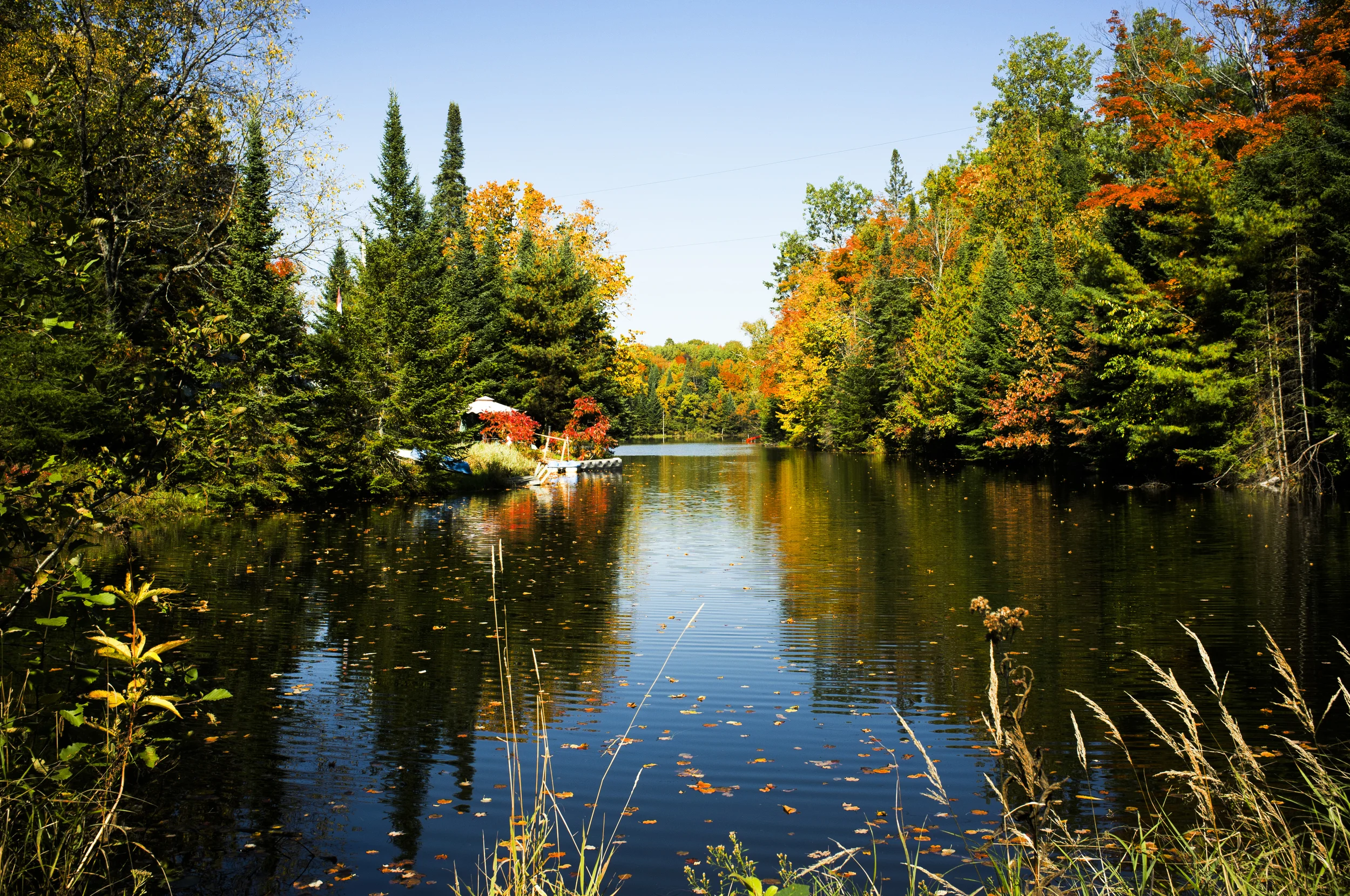The_Woods_of_Minden_Hills_Camping_Home_003.jpg