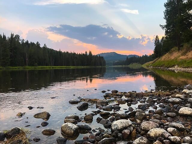 Just love visiting national parks! I ended up taking a lot of images with my phone this trip due to not bringing my DSLR on the trip. This image was taken in August 2018. Just amazing sunset on the snake river!

#tetons #wyoming #jacksonhole #yellows