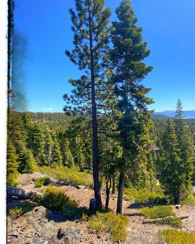 Swipe left to see the full panorama of the North Lake Tahoe City. 
#laketahoe #tahoe #southlaketahoe #california #nevada #tahoesouth #reno #nature #renotahoe #tahoelife #lake #snow #travel #inclinevillage #visittahoe #lakelife #truckee #mountains #ke