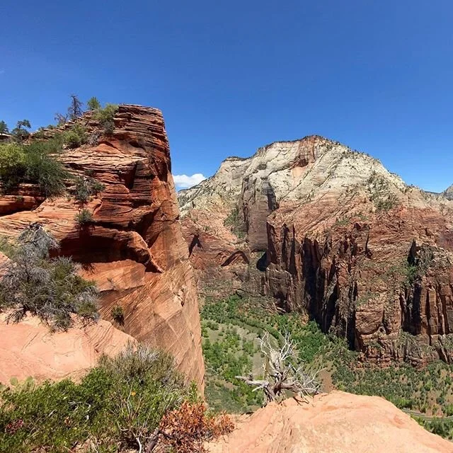 Great times today in Zion National Park 🏞 lots of trails were closed. 1st day the park was reopened due to the Coronavirus. But amazing adventures with my mom and brothers. Definitely want to plan a trip in the future to come back to this wonderful 