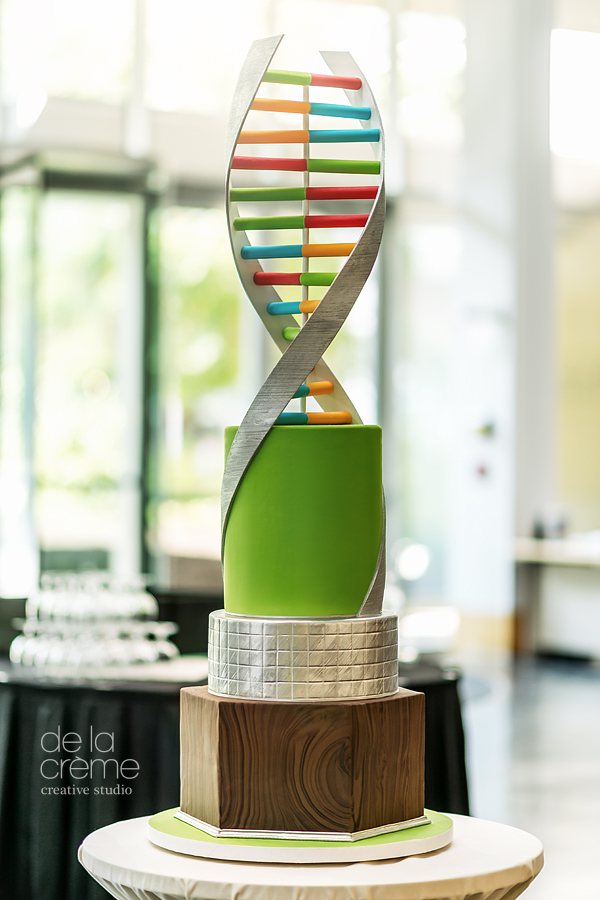 When on display in the airy foyer of the Eric P. Newman Education Center, the spirals on the double helix reached a staggering 6.5 feet!!