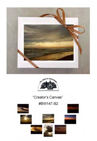 "Creator's Canvas"     #BW147-B2