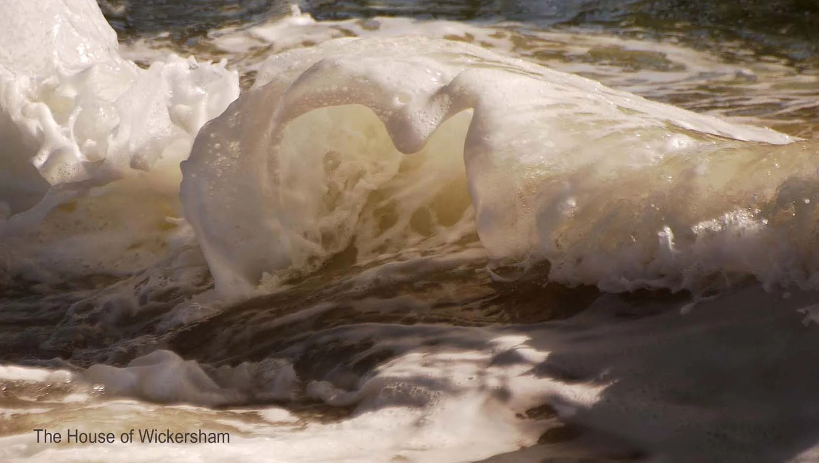 2      13x23...Beauty's Peril..WM..._edited-1.jpg