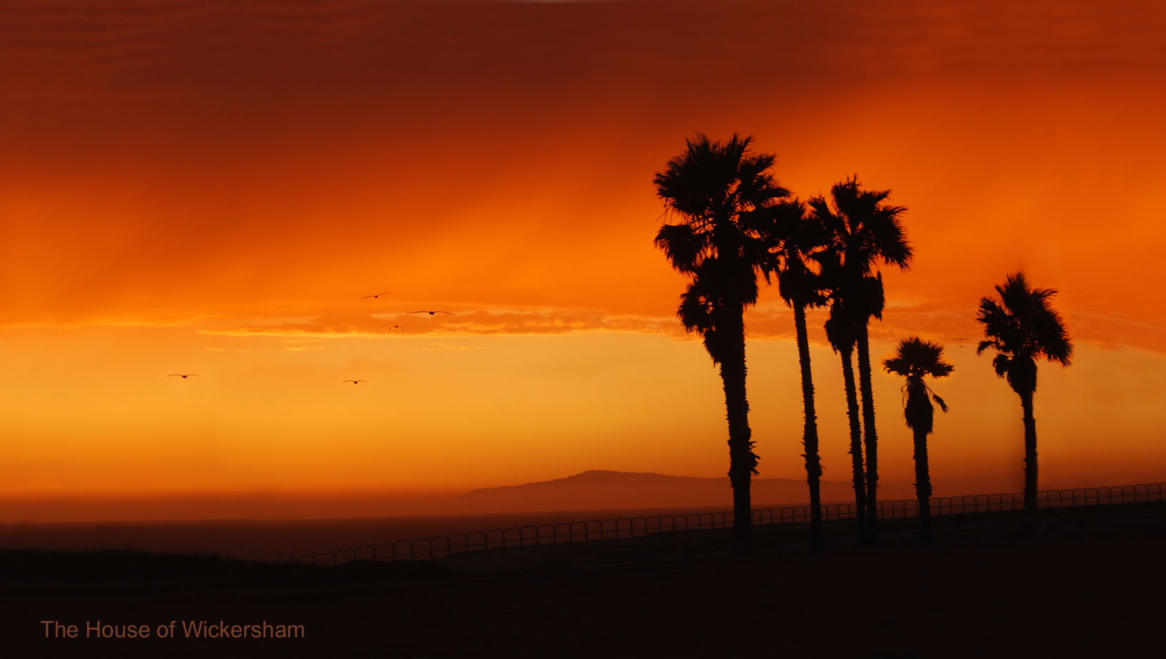 "San Pedro Sunset"     #BW233