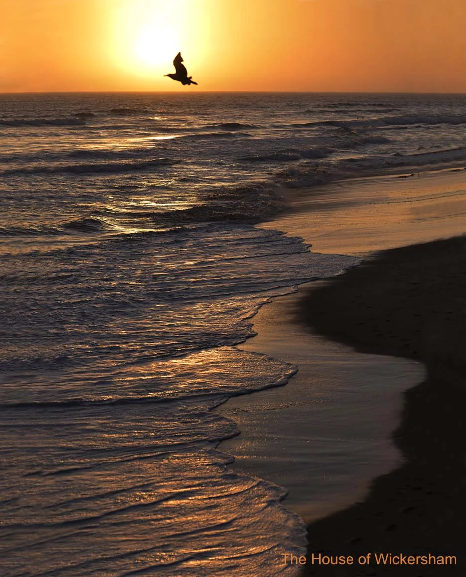 24     16x13...Carrier of Peace..WM...jpg