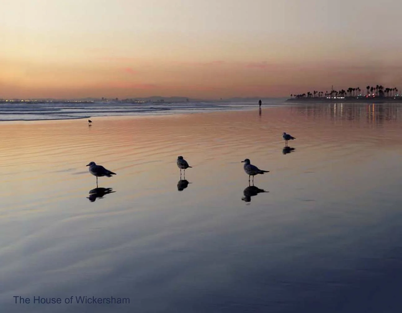 3            14x18...Bird Reflections..WM..jpg