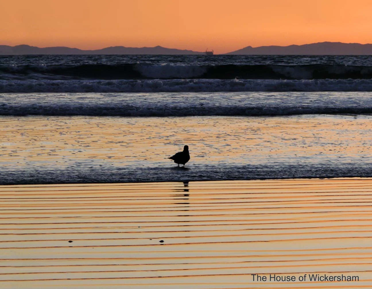 4       14x18..Orange & Blue Sand..WM...jpg