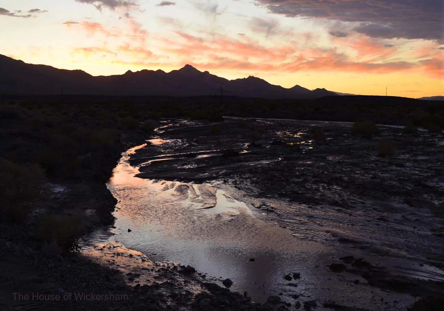 20         14x20..Flood by Design..jpg