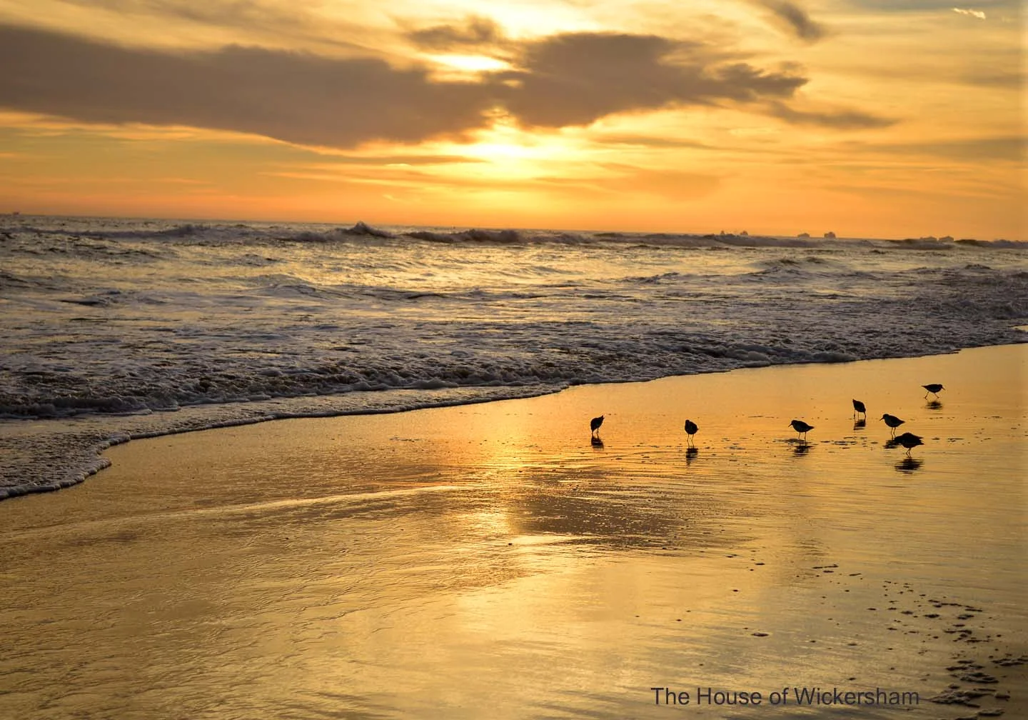 26      14x20..Golden Gain..WM...jpg