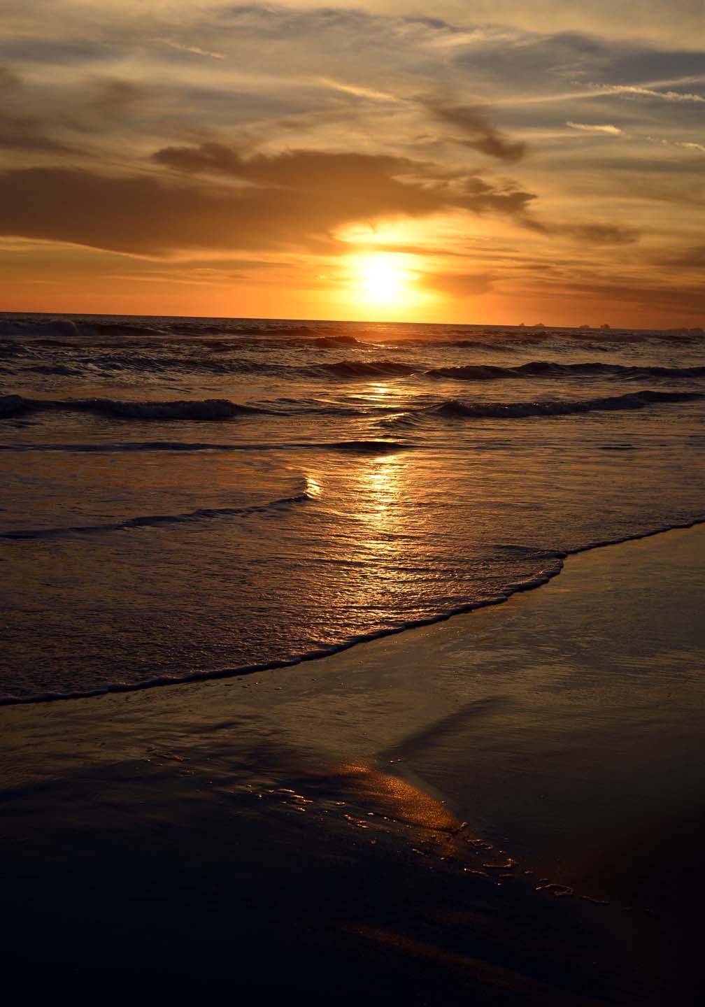 30       20x14..Amber Waves..WM...jpg