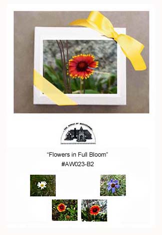 "Flowers in Full Bloom"     #AW023-B2