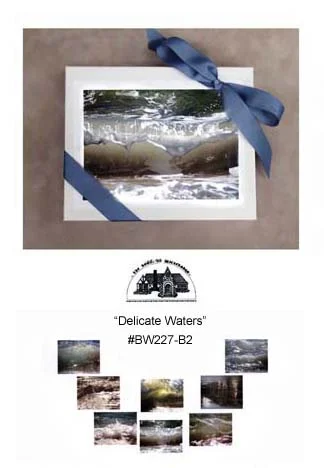 11      4.5x6.5..INDEX Delicate Waters..jpg