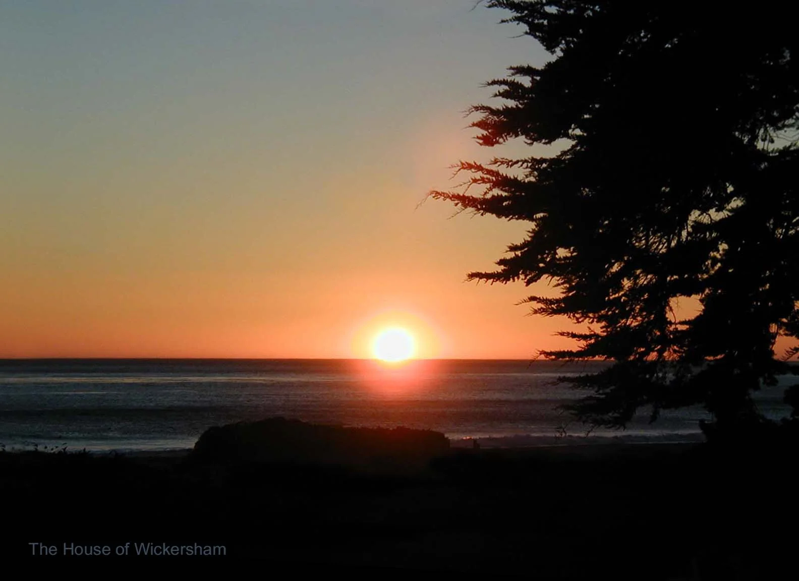 Jan 1     16x22..Serenity..WM...jpg