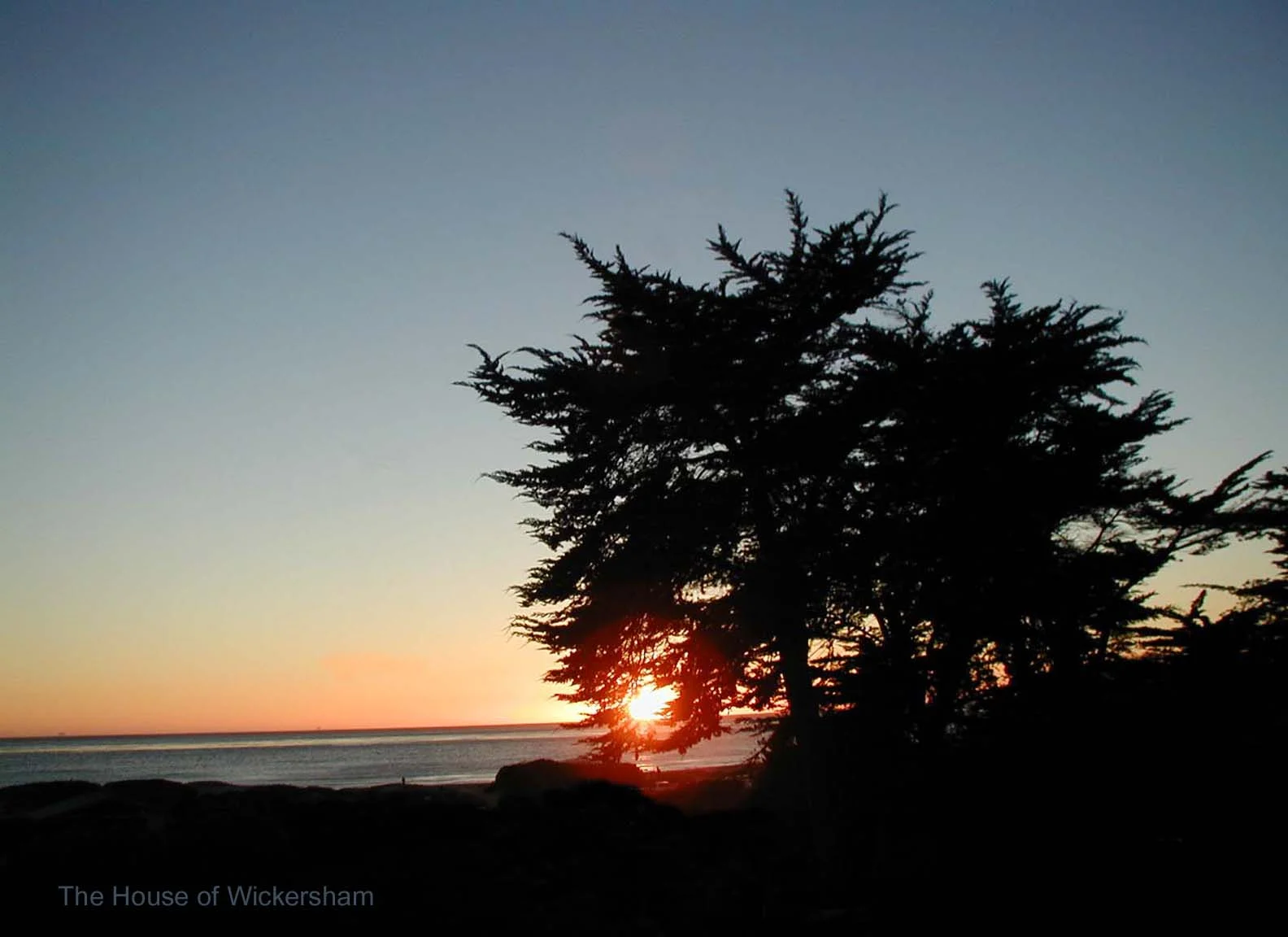 Jan 2     16x22..Reflections..WM...jpg