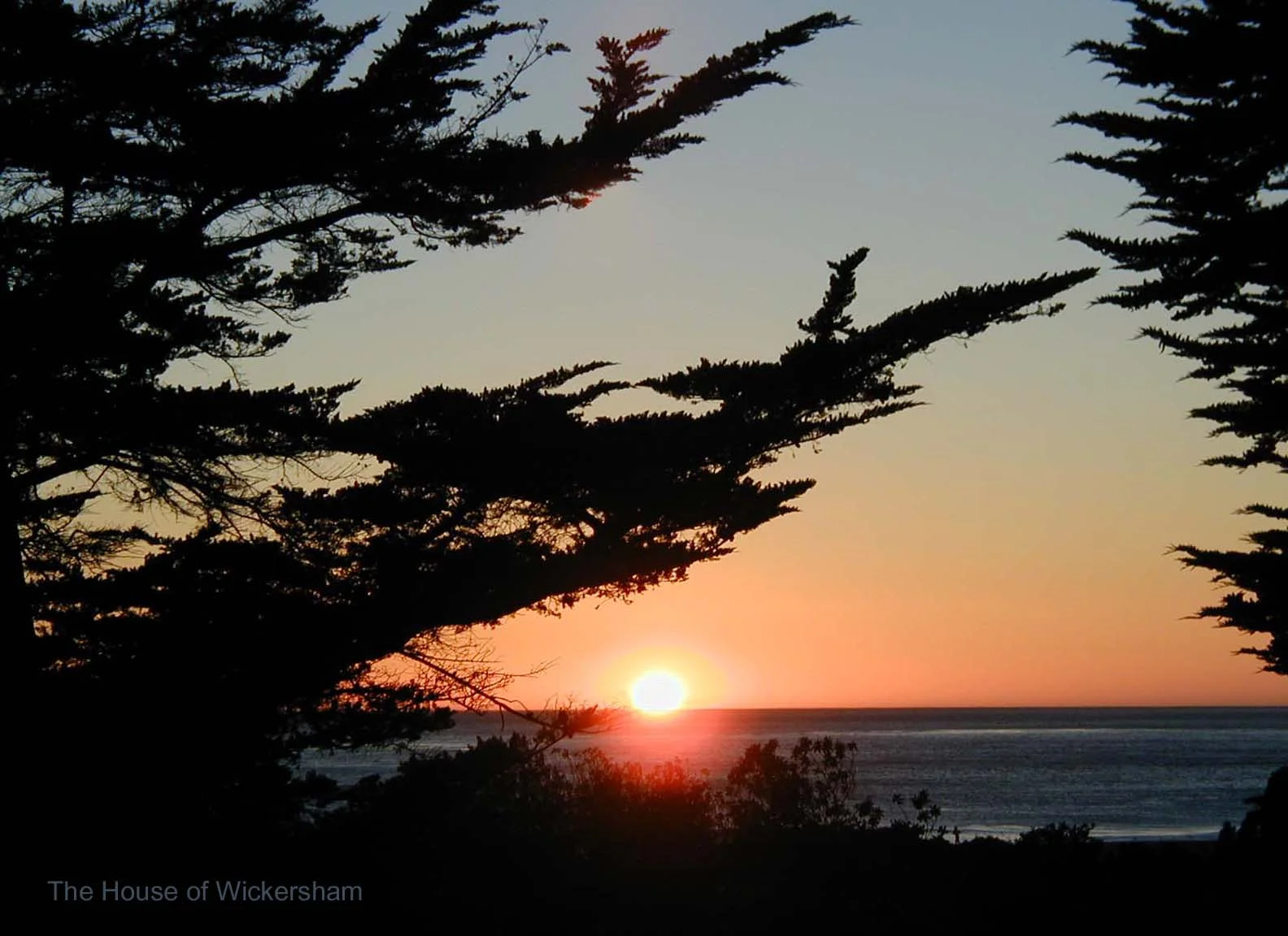 Jan 3   16x22..Cherry in the Sky..WM...jpg