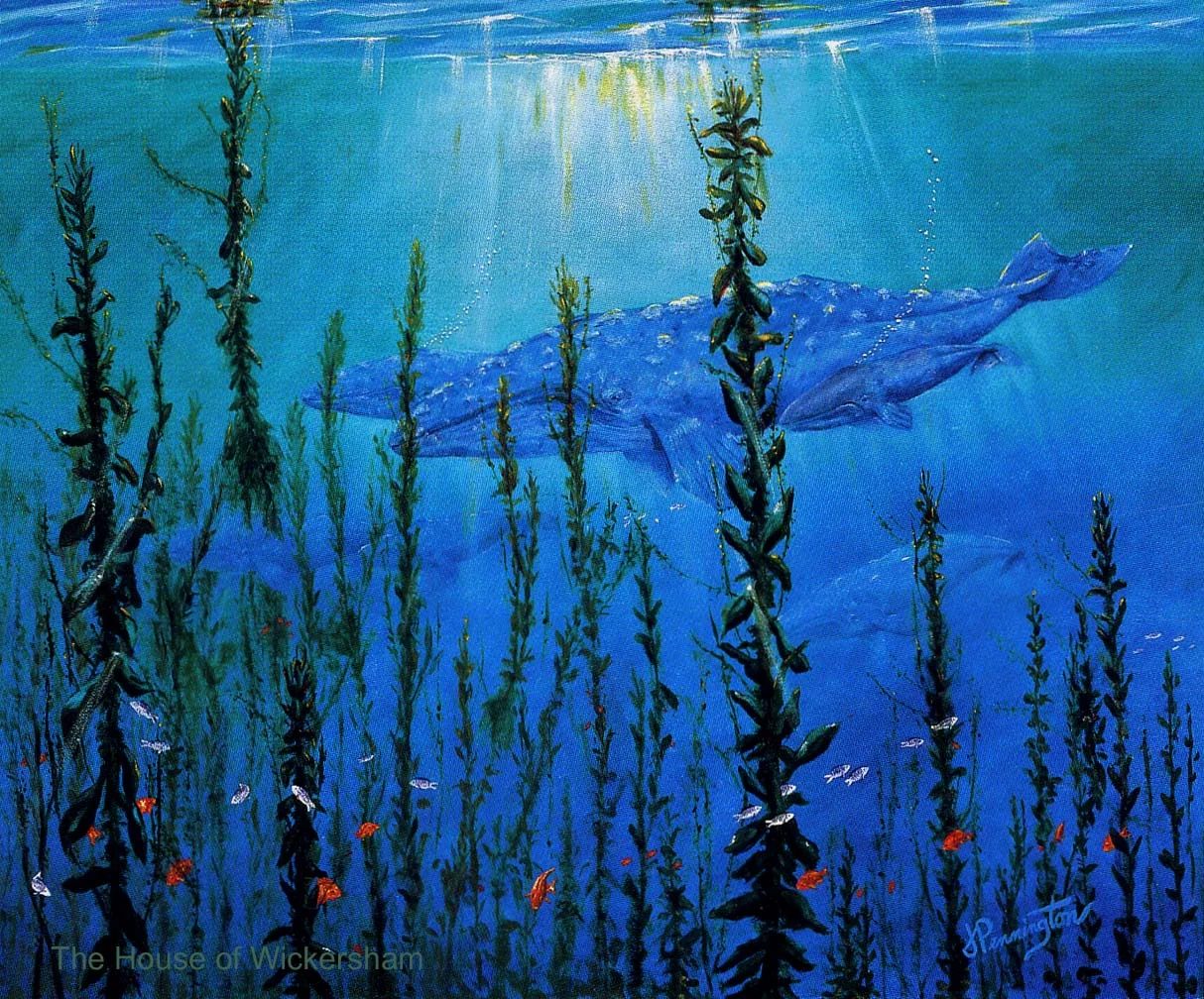 Jerry 5     14x16..Catalina Passage..WM...jpg