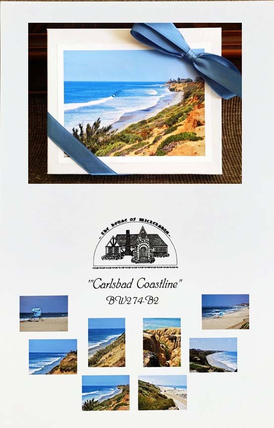 Carlsbad Coastline Squarespace...jpg