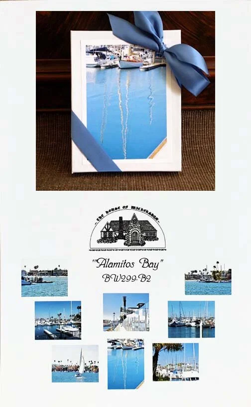 Alamitos Bay Squarrespace.2...jpg