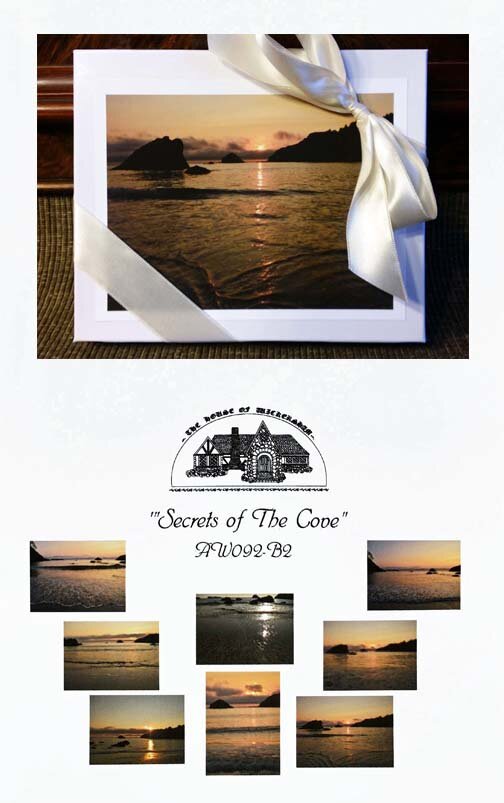 Secrets of The Cove  Squarespace...jpg