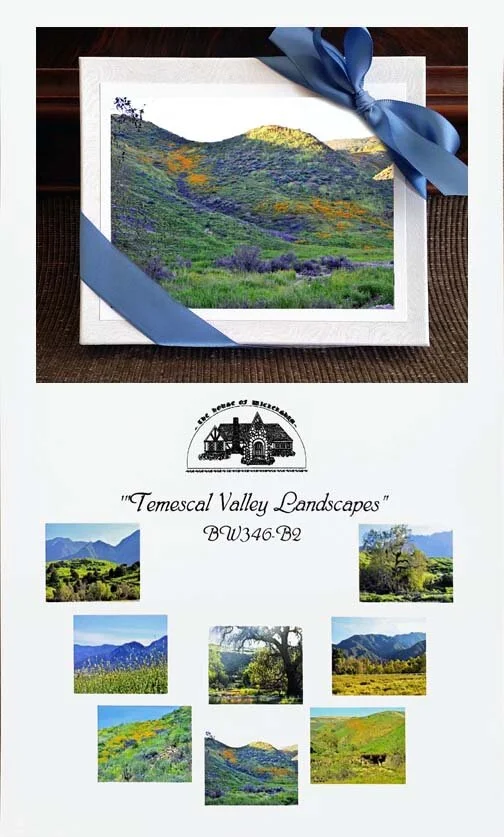 Temescal Valley Landscapes..Squarespace...jpg