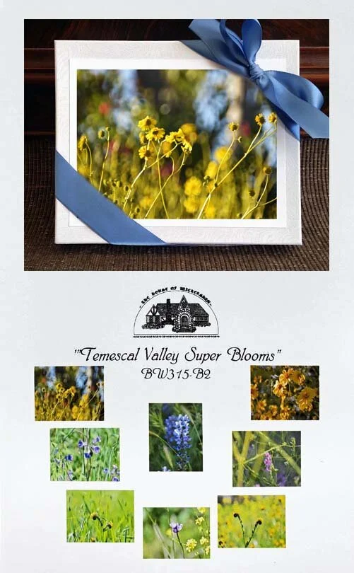 Temescal Valley Super Blooms..Squarespace...jpg